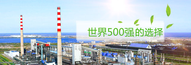 世界500強企業的選擇